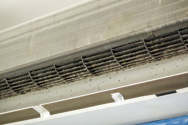 Best Air Duct Cleaning Near Me  in Orange City, IA